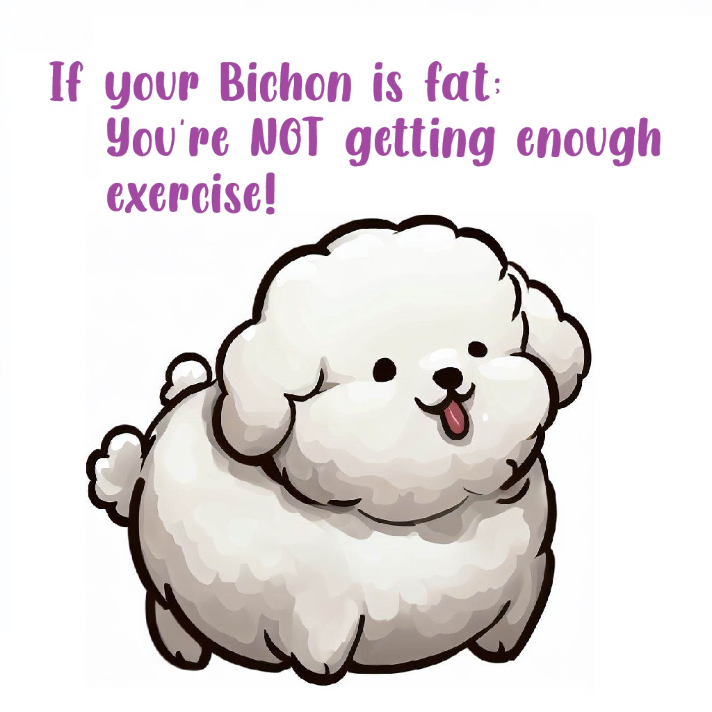 Bichon Frise Memes, Funny Dog Memes